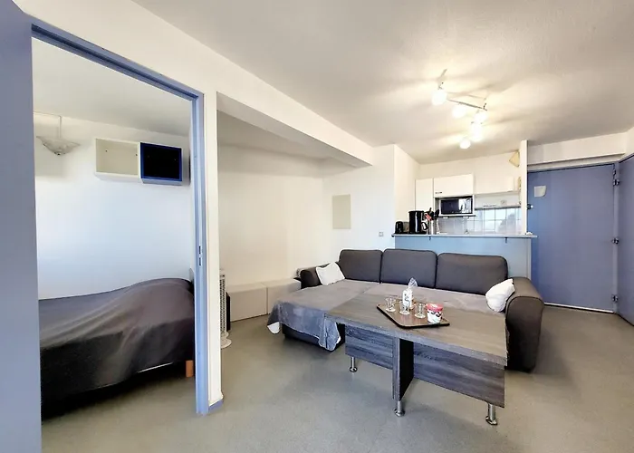 - T3 Pour 6 Pers. Avec Piscine Et Parking - Fr-1-794-153 Canet-en-Roussillon